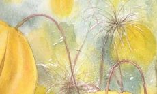 探讨刘家女孩如何在昭字辈中选择合适的名字？