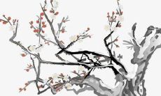 年度热门名字排行榜，揭秘最受欢迎的金姓女孩名字！