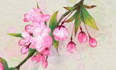 2022年起实施的新规定：采用通用姓田，男女孩起名不再分别使用不同的姓氏！