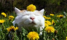 展现古典书香气息的独特网名,彰显文艺清新的微信名