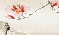 给男孩女孩选择一个美妙动听的名字，让他们开启自己的人生新篇章！