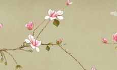 2022年出生的男虎宝宝，将被命名为姓张的名字