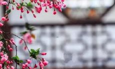 免费测试新生儿取名评分系统，为宝宝命名提供专业指导和建议