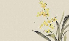 使用符号增添个性的王者荣耀角色命名建议