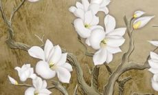 如何给你的社群起一个令人印象深刻、引人入胜的命名?