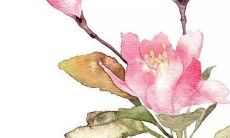 居然不止是电影！探究背后的真实人生——走进那些让你所不知的纪录片世界