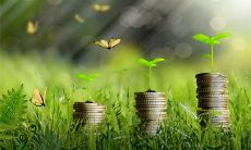 在梦中看到白色棉花的象征意义是什么？