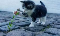 在梦中经历假发掉落的惊恐：探析潜意识中对外界形象的认同与自我认知的交互作用