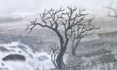 2022年生肖虎运势未嘉但可转运，需警惕健康和财富方面的困扰与挑战