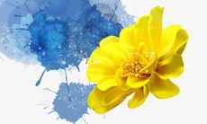 如何取一个好听且独特的洗车场名称？