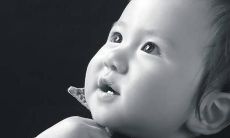 精彩故事情节与令人难以忘怀的男主角——一部以男主名字美好而著称的小说