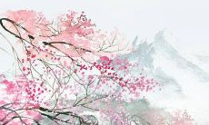 在选择适合生肖虎宝宝的名字时，有哪些方面需要考虑？