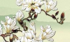 有没有一些好听的微信名字可以让女孩乔起来？