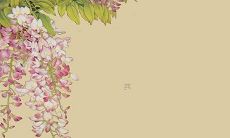 2022年对于75年出生的属兔人而言，存在着怎样的灾难和劫难？