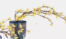 1988年出生的属龙人如何迎接2022年的运势与运程？