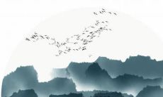 1992年生肖属猴的人在2022年的运势预测:机会与挑战并存,如何把握机遇迎接美好未来?