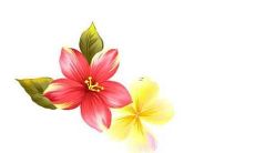 精选近年来最流行的、姓向的、听起来非常好的名字，详解排行榜