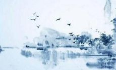 2022年针对1960年出生的鼠女的全面综合运势分析