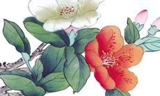 经典动漫作品中的美丽少女角色——梦幻般的名字精选