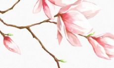 ，包括近4000个女孩名字、含义、来源及命运解析，为宝宝命名提供详尽参考！