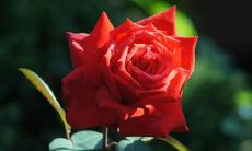 我梦见自己陷入了一个神秘的冰洞世界，又美丽又危险的探险之旅！