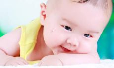 花木兰名字的美丽韵味和象征意义：探究这个传奇女将的命名之道