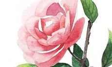 精美独特的个性化婚纱照相册命名集锦