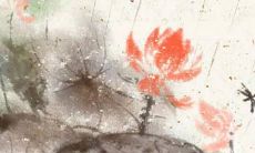 属虎人名字选取指南:迎来吉祥旺财的命名灵感