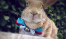 出生在哪个月份的人命运较劣？有什么八字能让他们获得更好的人生呢？