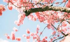 三两八钱女命：最准确的解释及生平命格剖析