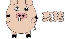 根据生肖属猪的出生日期来判断个人优秀和成功的概率有多高？