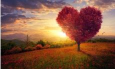 具有哪些工作方面的优势？