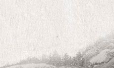 2022年出生的男宝宝，属虎的小名是什么？