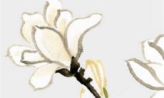 深度解析1984年属鼠人在2022年的运势表现：财富、事业、健康、情感全方位研究