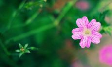 探寻最佳脸型的面相学：揭示发财脸五大瞩目面相特征