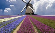 为何甲木命出生年份如此重要？为什么说甲木命是最好的命？