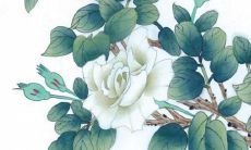 探究2022年生于猪年的个体运势，从财富、爱情、工作和健康等方面详细分析