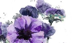 一百个让您惊艳的蚂蚁名称，听起来美极了！