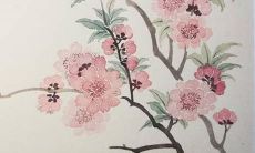 绝妙的猎人命名全册：一个包罗万象的狩猎大全，带你步入狩猎世界的神秘之旅！