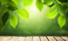 如何消除家中存在的邪气，让阴气全消，破解房屋不吉祥的情况？