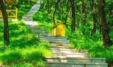 梦见亲眼目睹真龙出现：这个梦境隐含着怎样的象征意义？