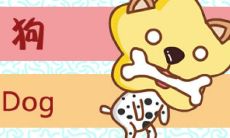 属蛇和属狗：最适合结为夫妻搭档还是合作共赢成功的创业团队？