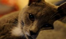 如果房子缺少东北角，这意味着什么？如何解决缺角的房屋问题？