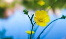 的情景出现在梦境中，可能预示着什么？