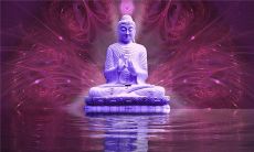 做梦时出现陌生人死亡的预兆：暗示未知的恐惧和失落感，或许代表着身边的人或事物即将远离自己，或是需要面对自身的深层问题和冲突