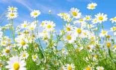 八字轻究竟是哪种性格特征，对应人命的影响究竟有多大？