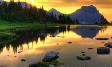 白蜡金命女指的是哪种人？有哪些特征？白蜡金命应该搭配什么样的命格更好？