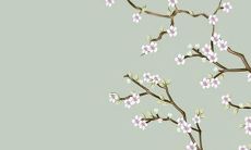 43岁属羊人，是否存在离婚风险？需要考虑哪些因素呢？