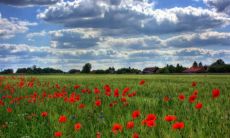 探讨哪些八字女命容易生育更多孩子——以八字测算生育子女为例的案例分析