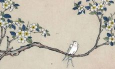 预测：天秤座女性在2022年虎年的运势表现如何？